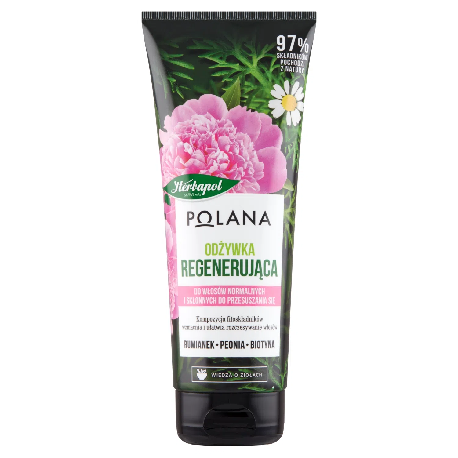 NAPOLINです Sandały damskie czarne Filippo DS6885/25 buty na lato